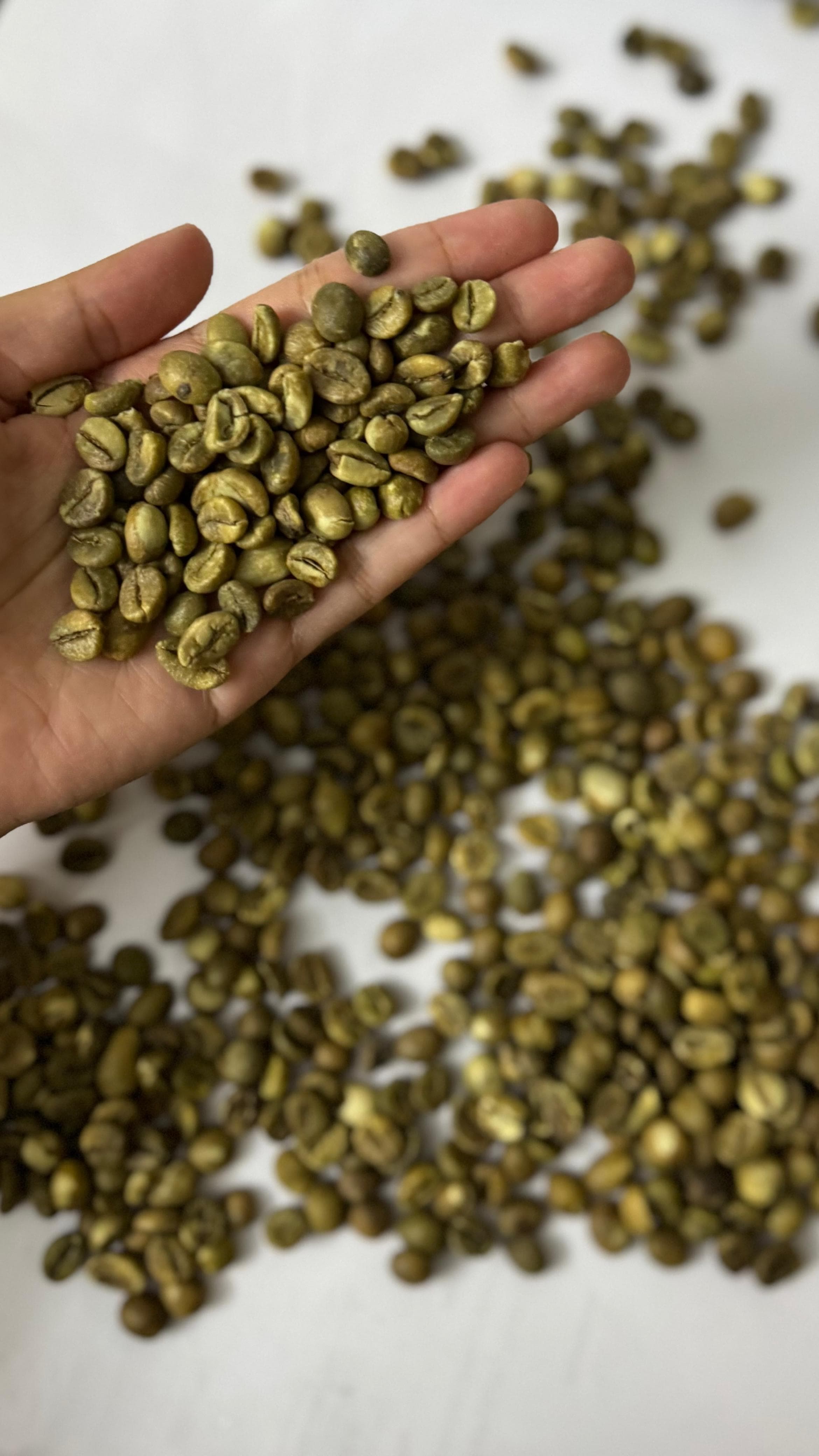 Hand sprinkling Classic Blend beans to highlight texture.