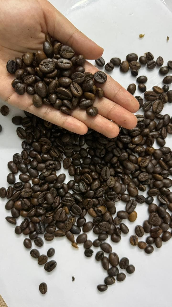 Handful of Commercial Roast beans ready for batching.