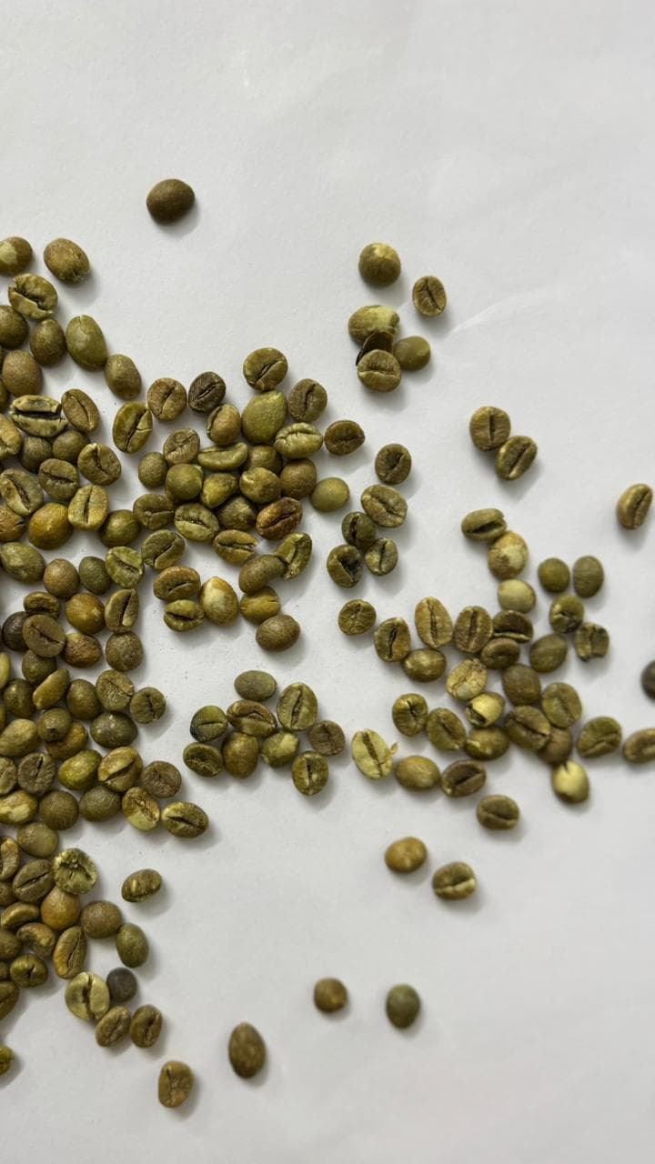 Premium green beans being sprinkled across a surface.